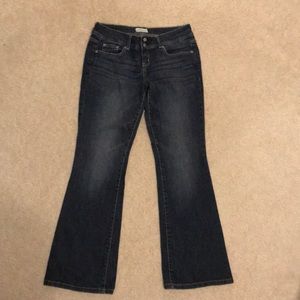 Aeropostale Hailey Flare curvy jeans